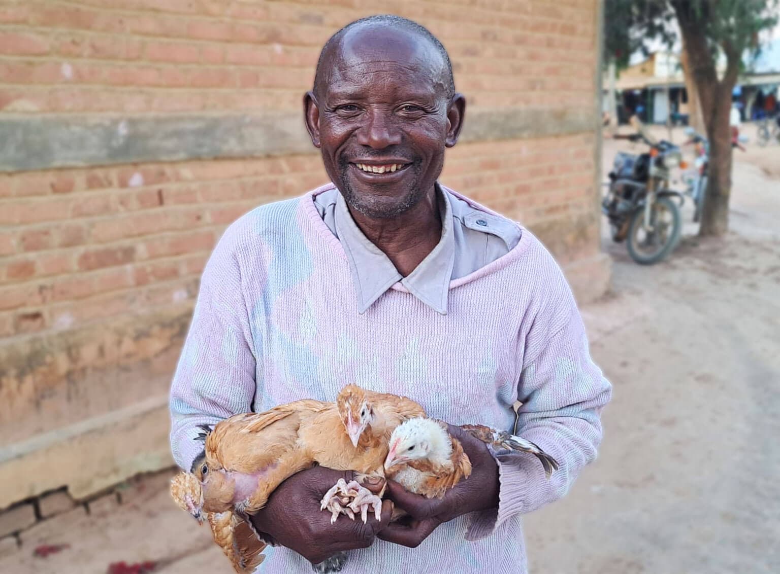 Feathers of Resilience: How SASSO Poultry Is Feeding Hope in Tanzania’s Highlands