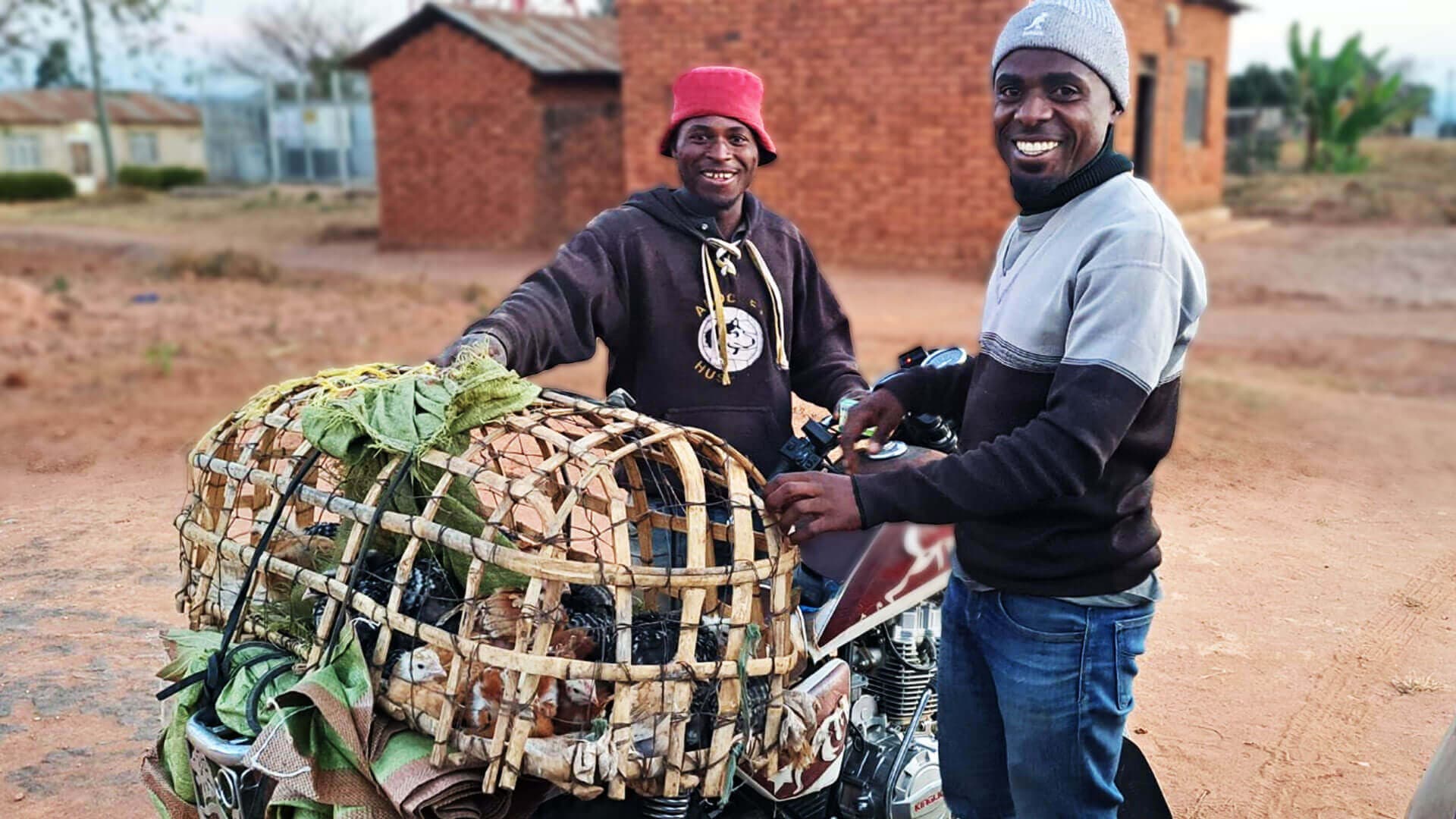 Woman farmer in field