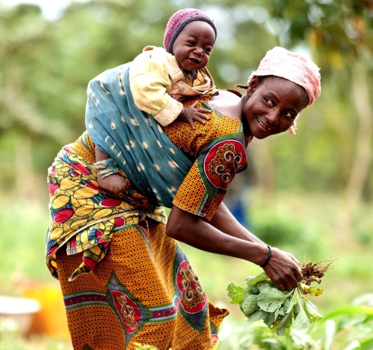 Agriculture Organization in Tanzania