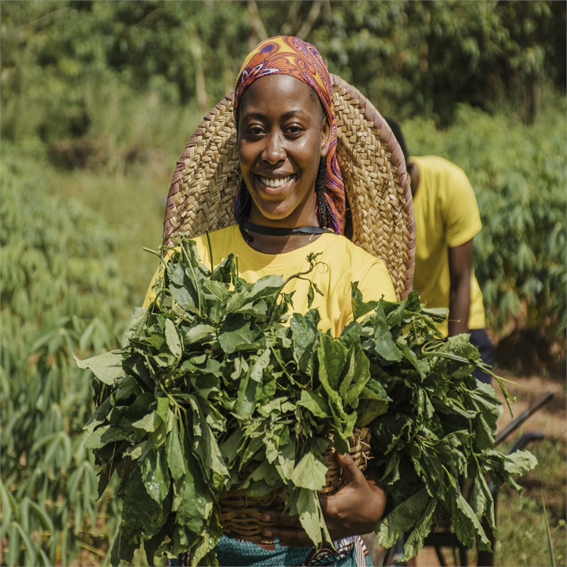 Agriculture Organization in Tanzania